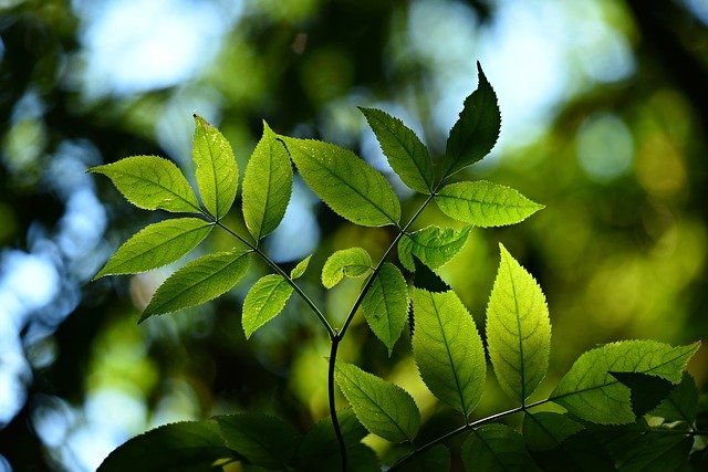 オーガニックを生活に取り入れるべき理由